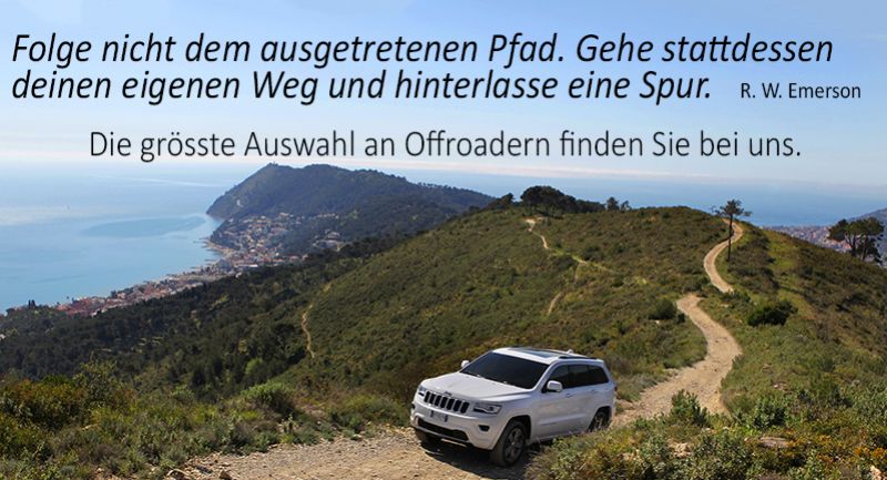 Riesige Auswahl an Jeep und SUV